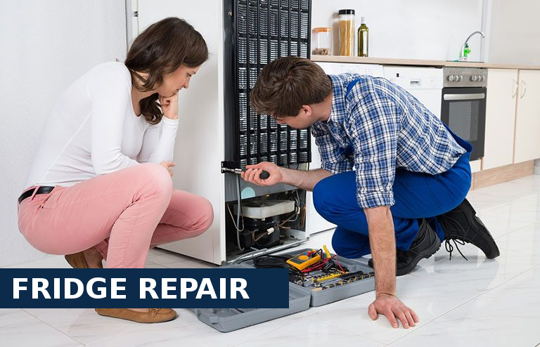 Fridge Repair Carshalton